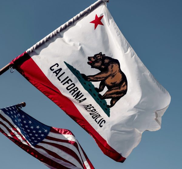 California Flag Image: Sunshine, Diversity, Innovation