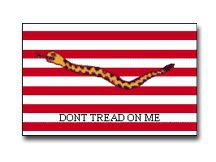 First Navy Jack (Dont Tread on Me)
