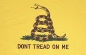 Gadsden Flag -Don't Tread on Me